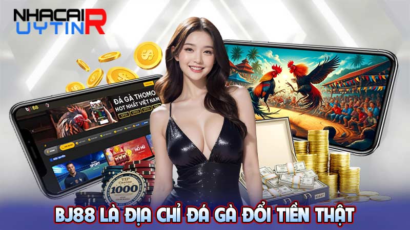 Bj88 là địa chỉ đá gà đổi tiền thật