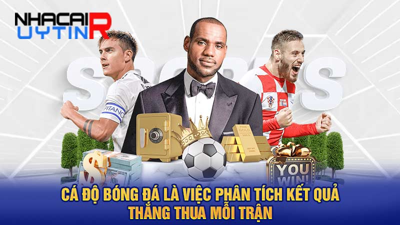 Cá độ bóng đá là việc phân tích kết quả thắng thua mỗi trận