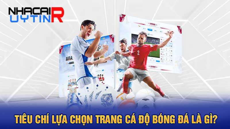 Tiêu chí lựa chọn trang cá độ bóng đá là gì?