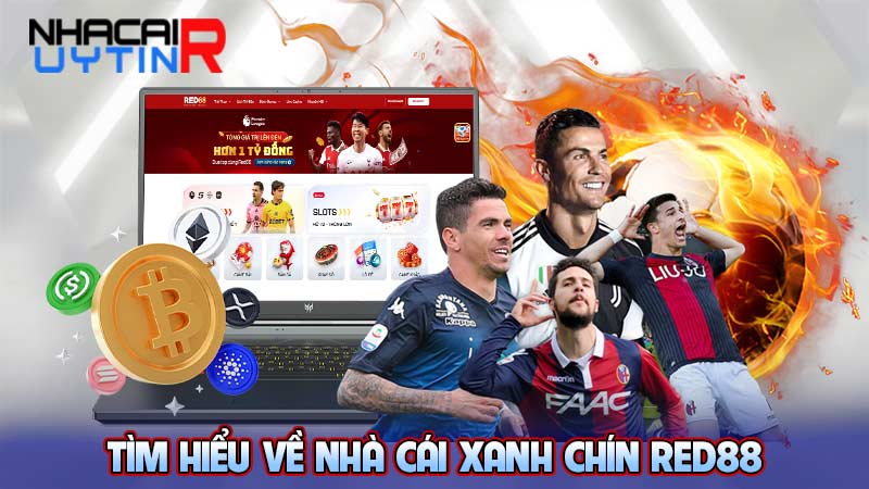 Tìm hiểu về nhà cái xanh chín RED88